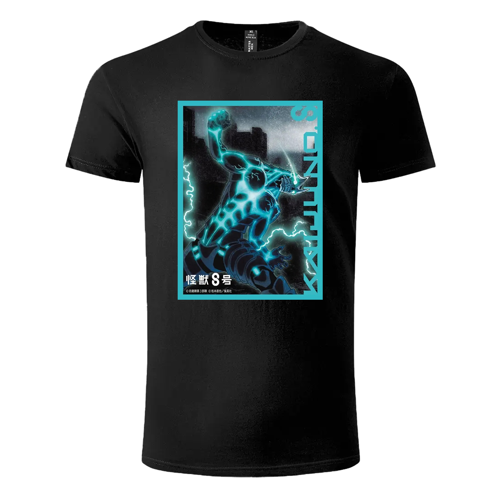 Product Picture